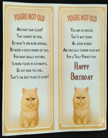 DD FUNNY BIRTHDAY A4 6 by Margarette Blakeborough
