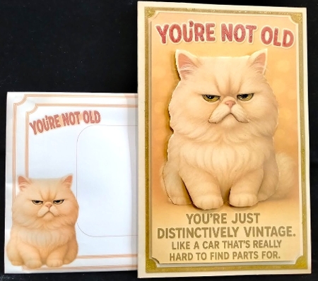DD FUNNY BIRTHDAY A4 6 by Margarette Blakeborough