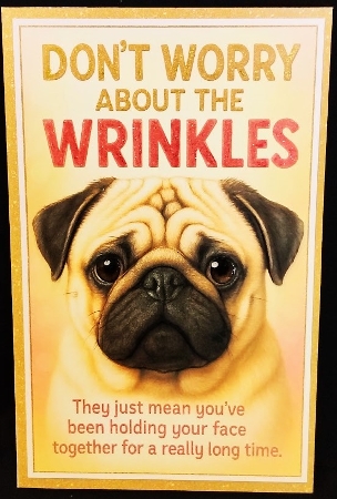 DD FUNNY BIRTHDAY A4 9 by Margarette Blakeborough