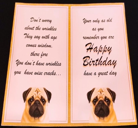 DD FUNNY BIRTHDAY A4 9 by Margarette Blakeborough