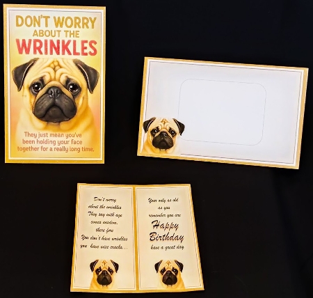 DD FUNNY BIRTHDAY A4 9 by Margarette Blakeborough