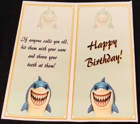 DD FUNNY BIRTHDAY A4 16 by Margarette Blakeborough