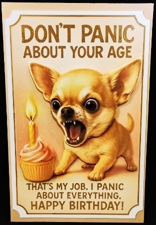 DD FUNNY BIRTHDAY A4 32 by Margarette Blakeborough