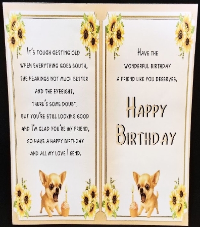 DD FUNNY BIRTHDAY A4 32 by Margarette Blakeborough