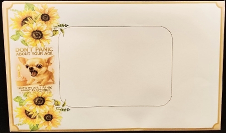 DD FUNNY BIRTHDAY A4 32 by Margarette Blakeborough