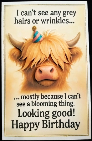 DD FUNNY BIRTHDAY A4 33 by Margarette Blakeborough