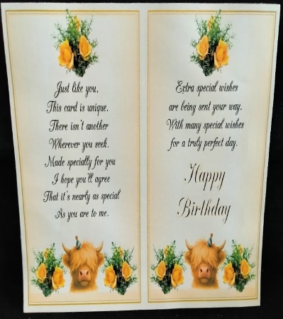 DD FUNNY BIRTHDAY A4 33 by Margarette Blakeborough