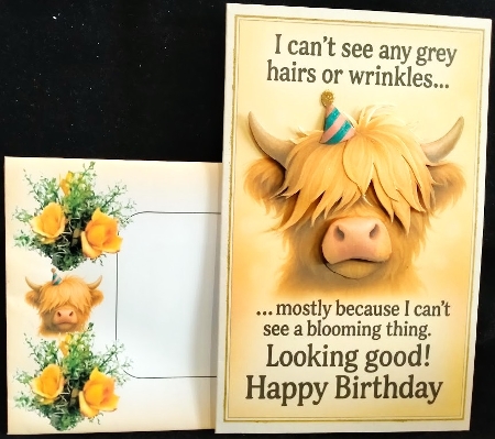DD FUNNY BIRTHDAY A4 33 by Margarette Blakeborough
