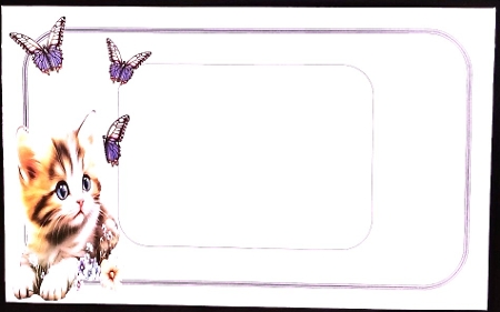 The Kitten & The Butterfly by Margarette Blakeborough