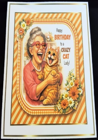 crazy cat lady by Margarette Blakeborough