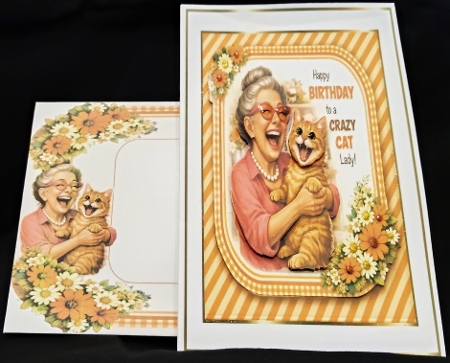 crazy cat lady by Margarette Blakeborough