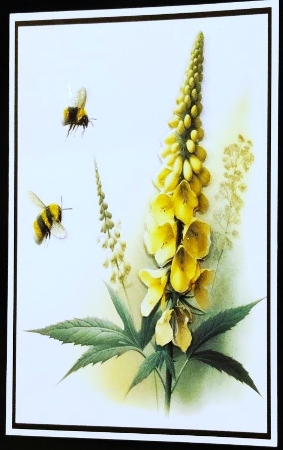 two bee or not two bee by Margarette Blakeborough