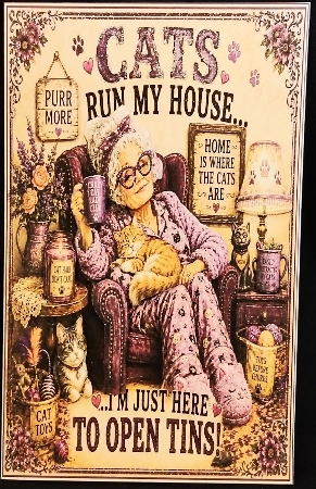 Cats Run My House Mini Kit  by Margarette Blakeborough