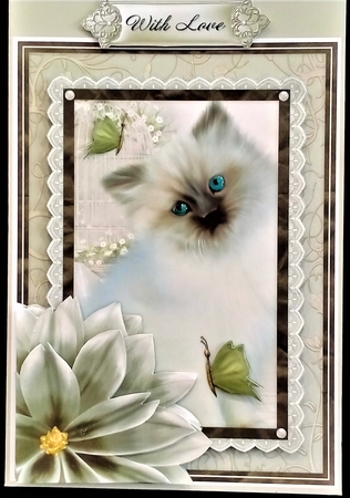 Sweet Kitten Birthday Decoupage Mini Kit by Margarette Blakeborough