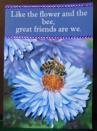 Botanical & Floral 2 - Bees Love Daisies  + Insert & Tag by Margarette Blakeborough