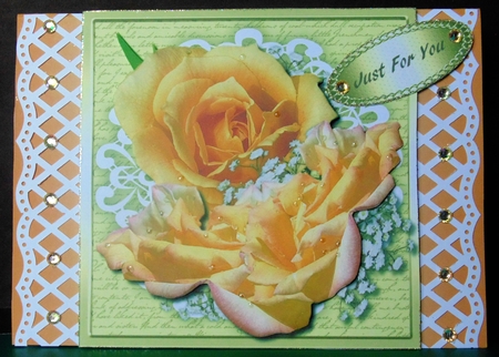 Beautiful Apricot Roses on Cut out Lace 4 by Margarette Blakeborough