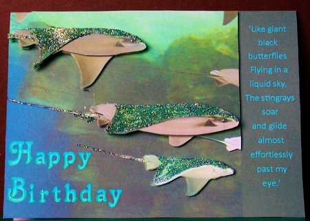 Because We Love Vertebrates - Coral Reef Tropical Marine Ray Fish - Decoupage + Insert & Tag by Margarette Blakeborough