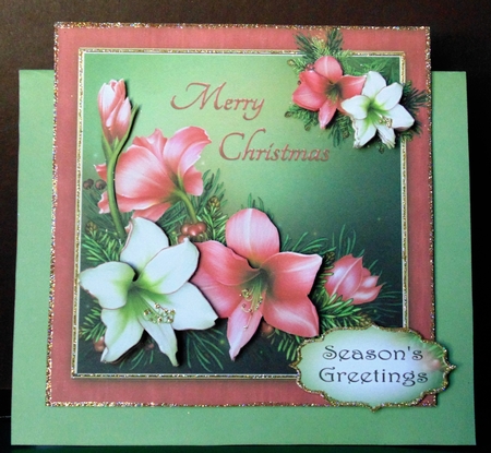 Pink & White Christmas Amaryllis by Margarette Blakeborough
