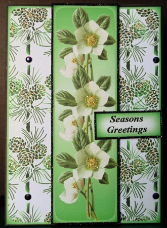 Christmas Rose 3 by Margarette Blakeborough