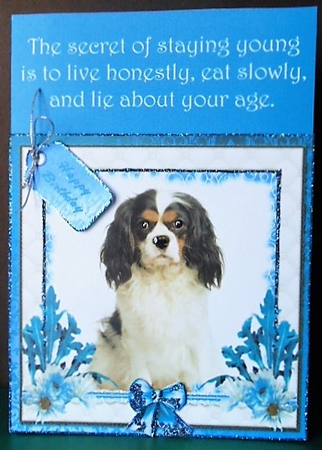 King Charles Spaniel by Margarette Blakeborough