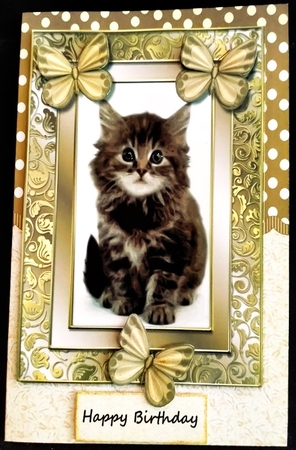 Purrrfect Birthday Cute Kitten by Margarette Blakeborough