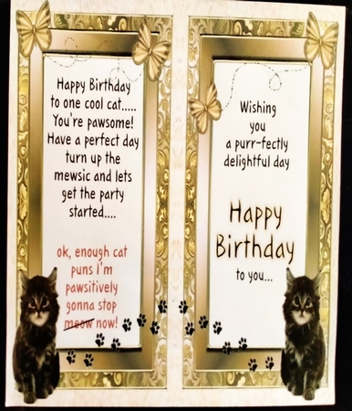 Purrrfect Birthday Cute Kitten by Margarette Blakeborough