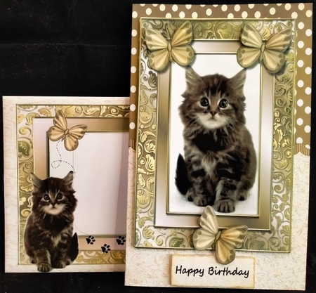 Purrrfect Birthday Cute Kitten by Margarette Blakeborough
