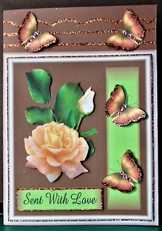 salmon pink rose congratulations. by Margarette Blakeborough
