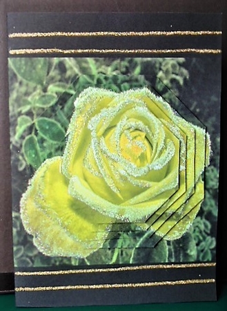 Winter - Frosted Yellow Rose - Pyrimage/pyramid + Insert & Tag by Margarette Blakeborough