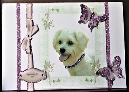 Cute dog 8 x 8 in card front. by Margarette Blakeborough