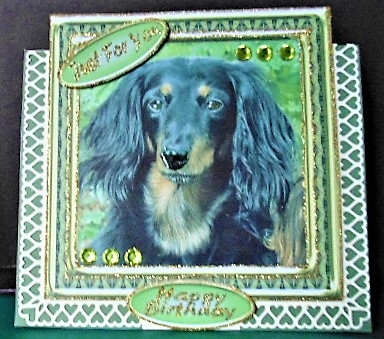 JJ LOVE MY DOG DACHSHUND 8X8 by Margarette Blakeborough