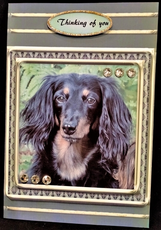 JJ LOVE MY DOG DACHSHUND 8X8 by Margarette Blakeborough