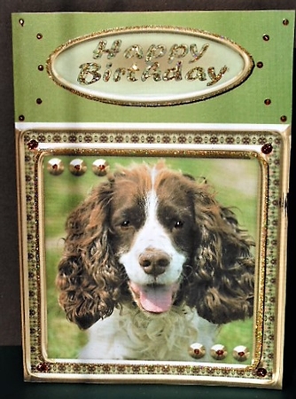  JJ LOVE MY DOG SPRINGER SPANIEL 8X8 by Margarette Blakeborough