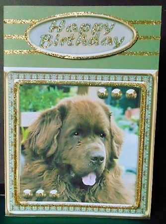 JJ LOVE MY DOG NEWFOUNDLAND 2 8X8 by Margarette Blakeborough