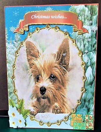 YORKIE WATCHING SNOWFLAKES MULTI SENTIMENT UNISEX CHRISTMAS by Margarette Blakeborough