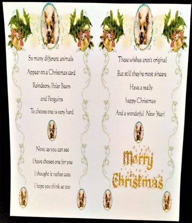 YORKIE WATCHING SNOWFLAKES MULTI SENTIMENT UNISEX CHRISTMAS by Margarette Blakeborough
