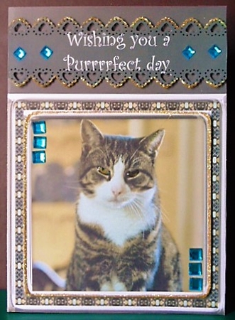 JJ LOVE MY CAT 5 8X8 by Margarette Blakeborough