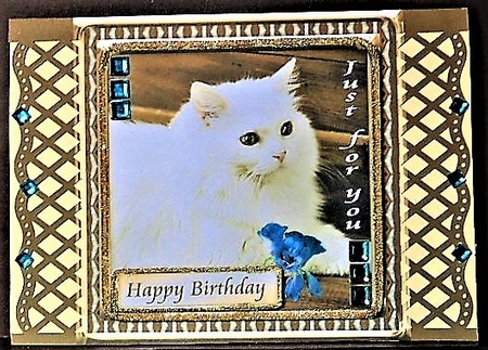 JJ LOVE MY CAT 8 8X8 by Margarette Blakeborough