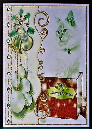 Cat ina Christmas Box by Margarette Blakeborough