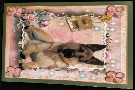 Happy Birthday German Shepherd by Margarette Blakeborough
