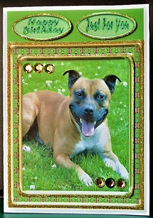 JJ LOVE MY DOG STAFFORDSHIRE BULL TERRIER OR STAFFIE 8X8 by Margarette Blakeborough