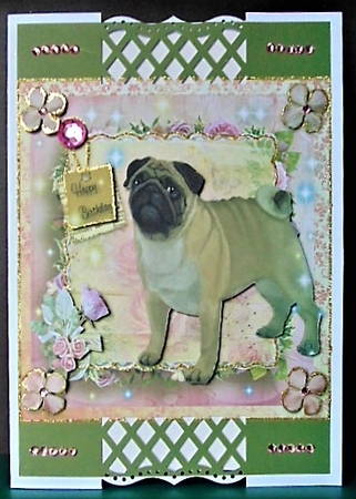 Happy Birthday Pug by Margarette Blakeborough