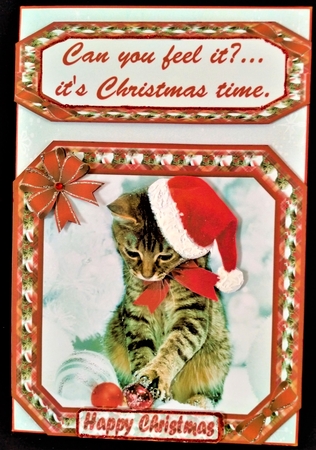 JJ PETS LOVE CHRISTMAS TOO CUTE CAT 8X8 by Margarette Blakeborough