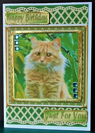 JJ LOVE MY CAT 19 8X8 by Margarette Blakeborough