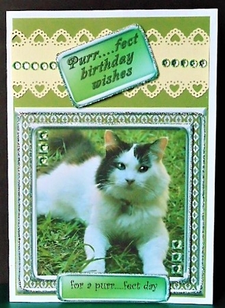 JJ LOVE MY CAT 20 8X8 by Margarette Blakeborough