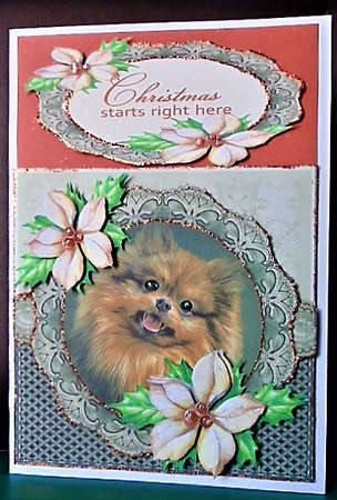 Pomeranian by Margarette Blakeborough