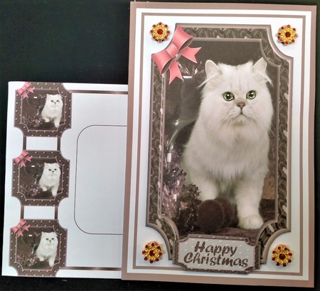 JJ PETS LOVE CHRISTMAS TOO SNOW WHITE CAT ROSEWOD 5X7 by Margarette Blakeborough