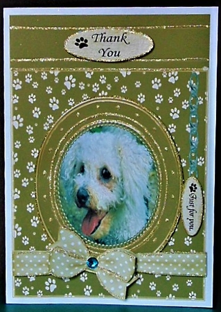 BICHON FRISE THANK YOU AND VARIOUS OTHER SENTIMENTS by Margarette Blakeborough