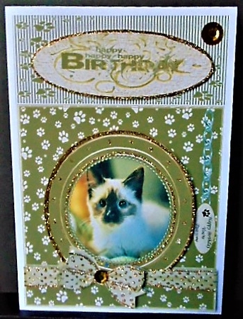 SIAMESE KITTEN THANK YOU AND VARIOUS OTHER SENTIMENTS by Margarette Blakeborough
