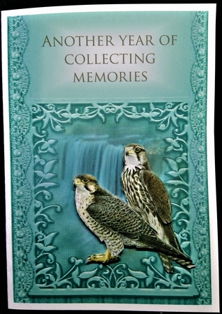 falcon by Margarette Blakeborough